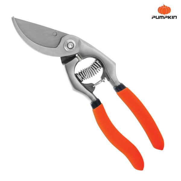 33536-1.jpg 33536-1.jpg